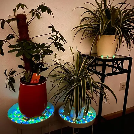 Apartmán Stylish, Cozy & Quiet With One And Half In District 1