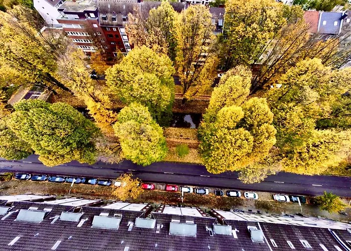 Stylish, Cozy & Quiet With One And Half In District 1 *