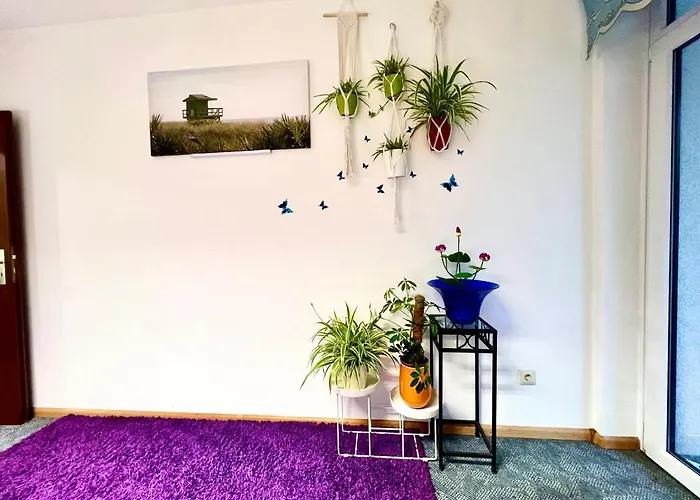 Stylish, Cozy & Quiet With One And Half In District 1