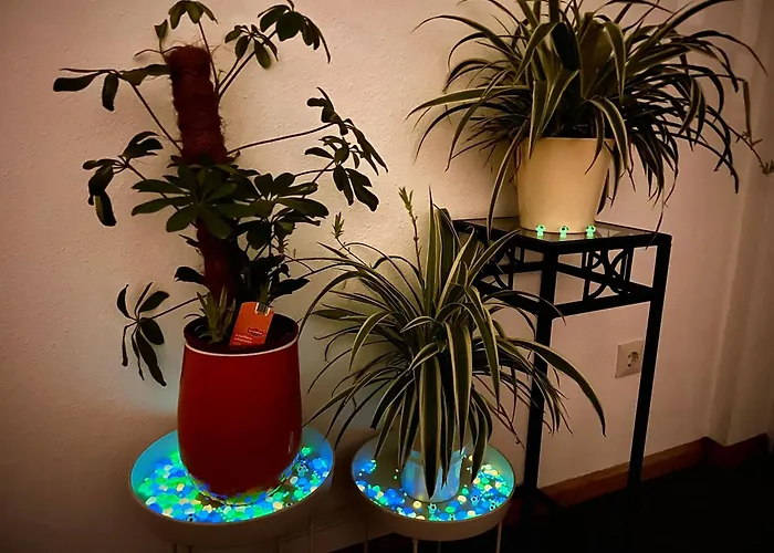 Apartment Stylish, Cozy & Quiet With One And Half In District 1