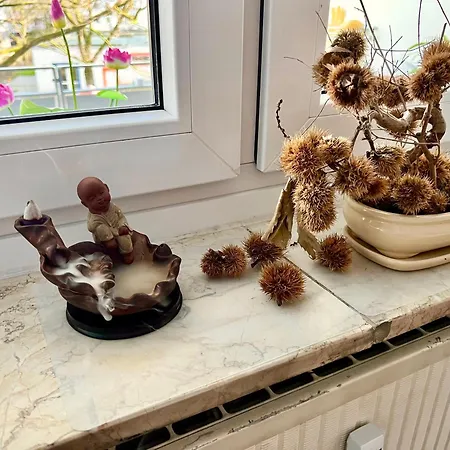 Stylish, Cozy & Quiet With One And Half In District 1 *